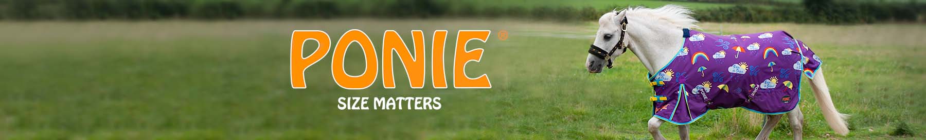 Ponie Ponie