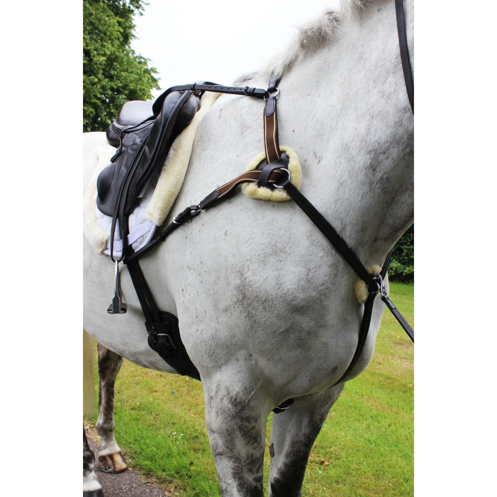 Leather 5 point breastplate