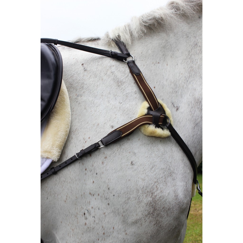 Leather 5 point breastplate