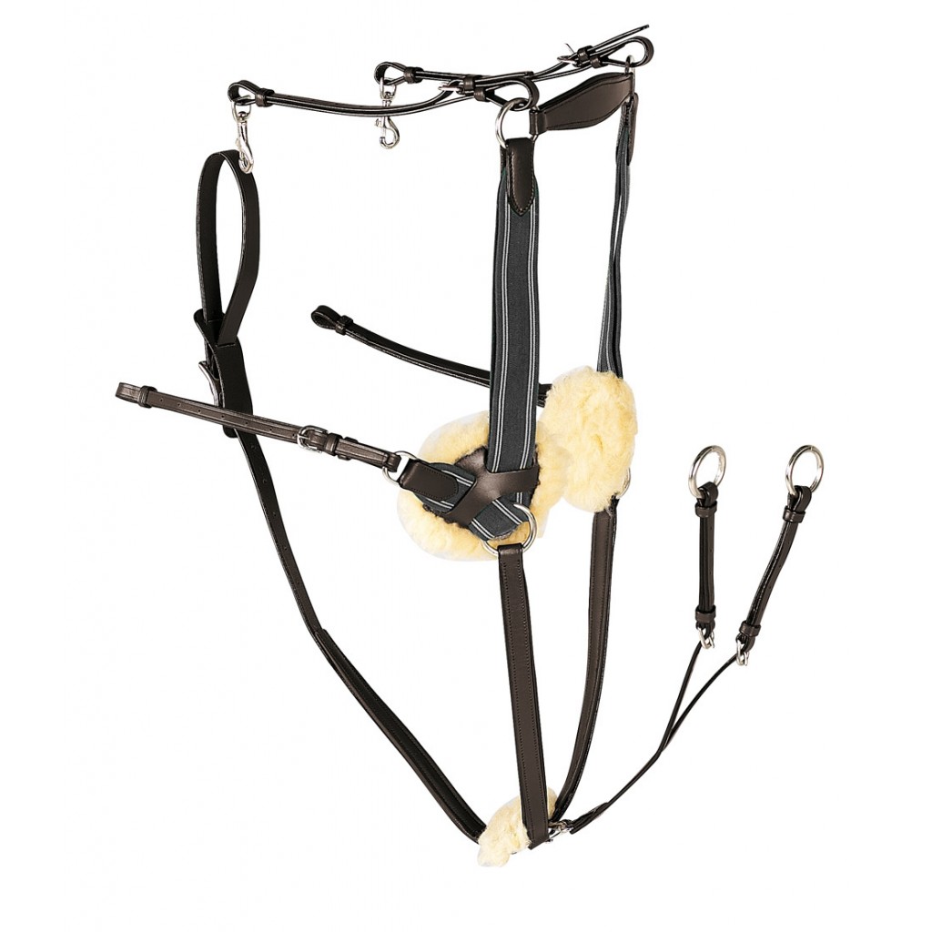 Leather 5 point breastplate