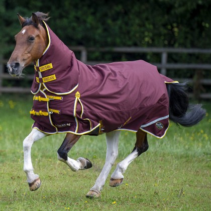 NEW TROJAN Xtra Duraproof 200g Turnout Combo